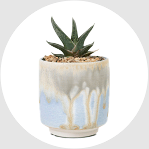 Deko & Wohnaccessoires